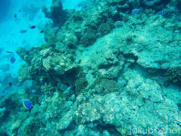 DCIM100GOPROG0592386.