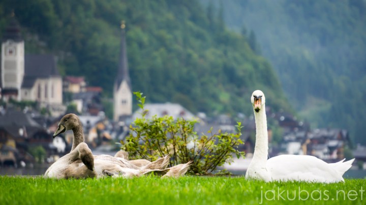 Hallstatt Austria in September (10)