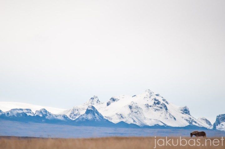 ISLANDIA KONIE NIKON 110