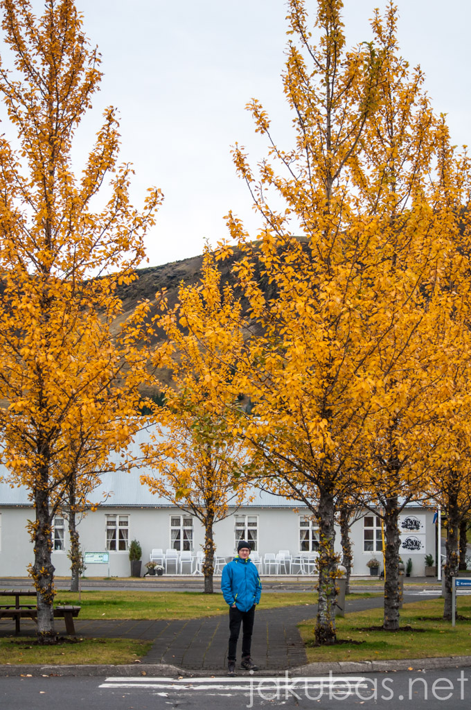 ISLANDIA NIKON Hveragerdi 039