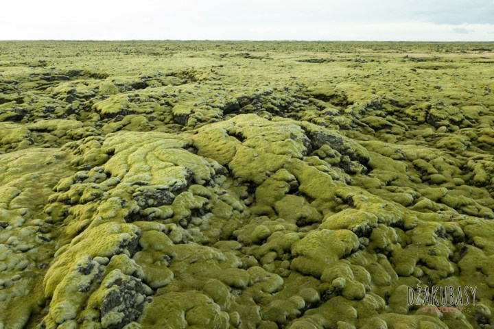 ISLANDIA Lawa pokryta mchem DRON 0 013