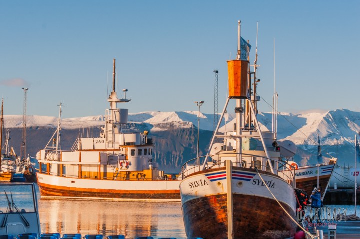 Islandia Husavik Port Rybacki Kuter (3).jpg