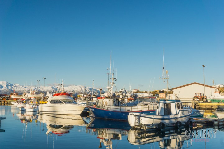 Islandia Husavik Port Rybacki Kuter (4).jpg