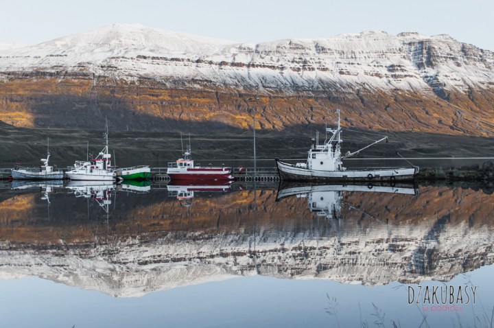 ISLANDIA Seydisfjordur IN AUTUMN 2017 NIKON 031-2