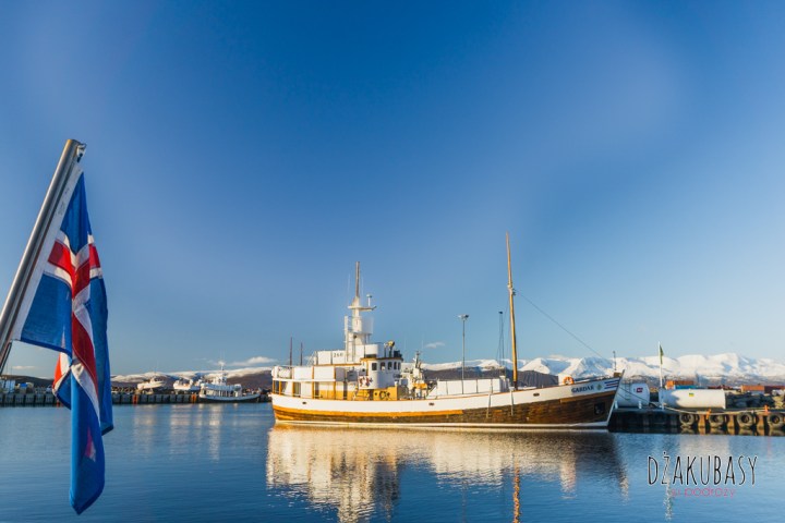 ISLANDIA Oglądnie wielorybów