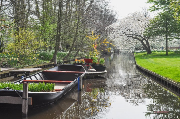 Keukenhof spring in Holland