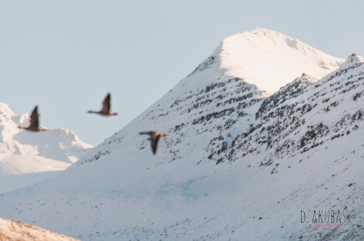 PÓŁNOCNA ISLANDIA GÓRY
