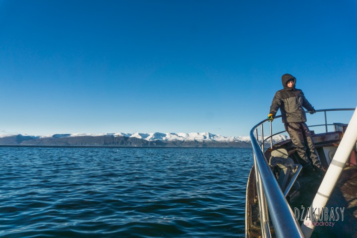 Husavik oglądanie wielorybów 2017 Październik