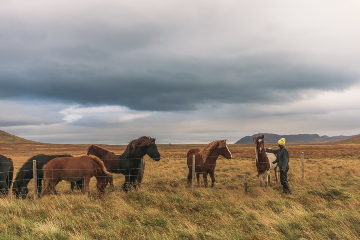 ISLANDIA SONY2 041.jpg
