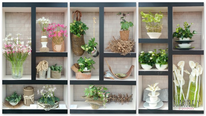 Keukenhof spring in Holland flower show