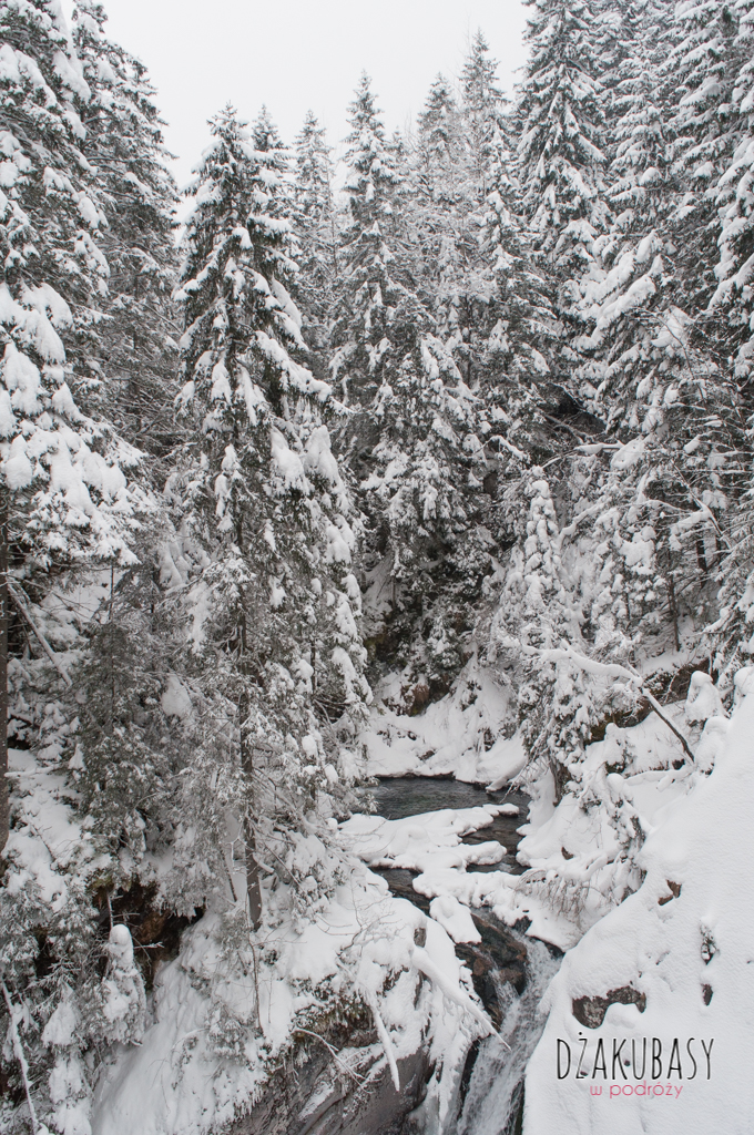 Polska zima, Morskie OKO NIKON 070.jpg