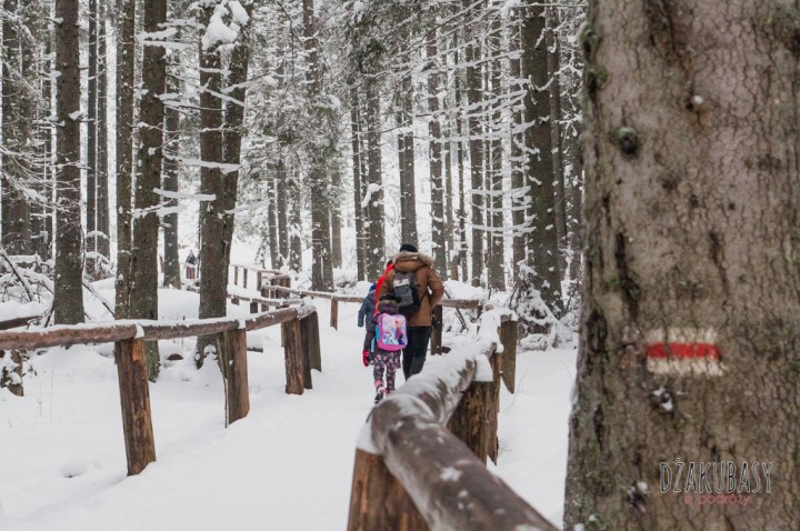Polska zima, Morskie OKO NIKON 109
