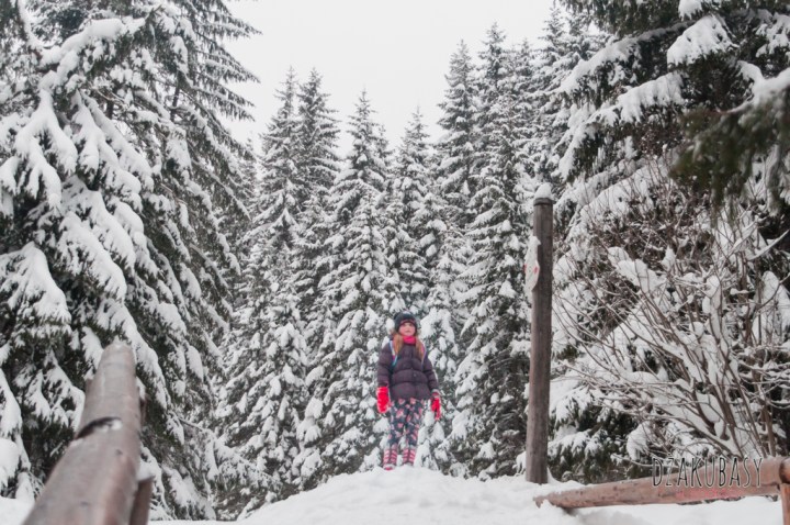 Polska zima, Morskie OKO NIKON 149