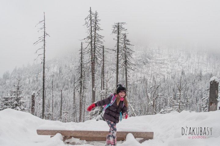 Polska zima, Morskie OKO NIKON 152