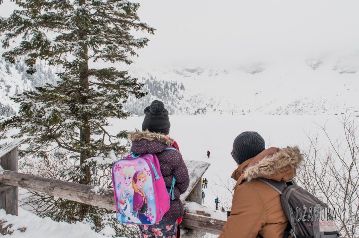 Polska zima, Morskie OKO NIKON 172.jpg