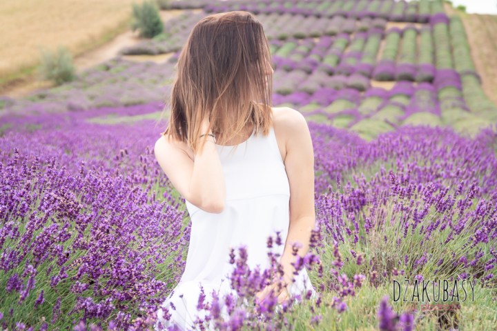 Polska i Bieszczady SONY 149-3