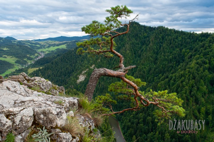 PIENINY polska szlak na Sokolice lipiec