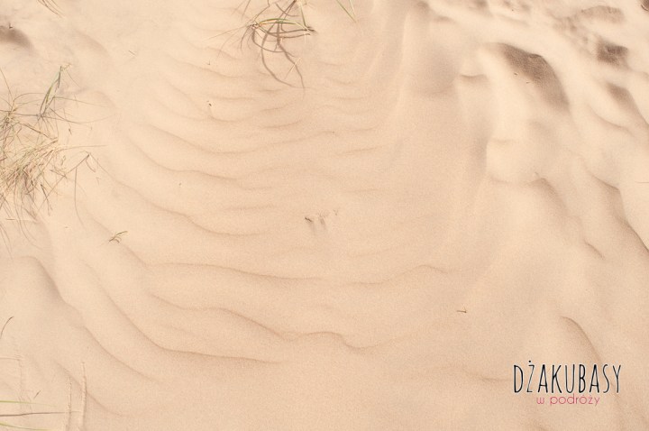 Camber Sands dzieciaki 012