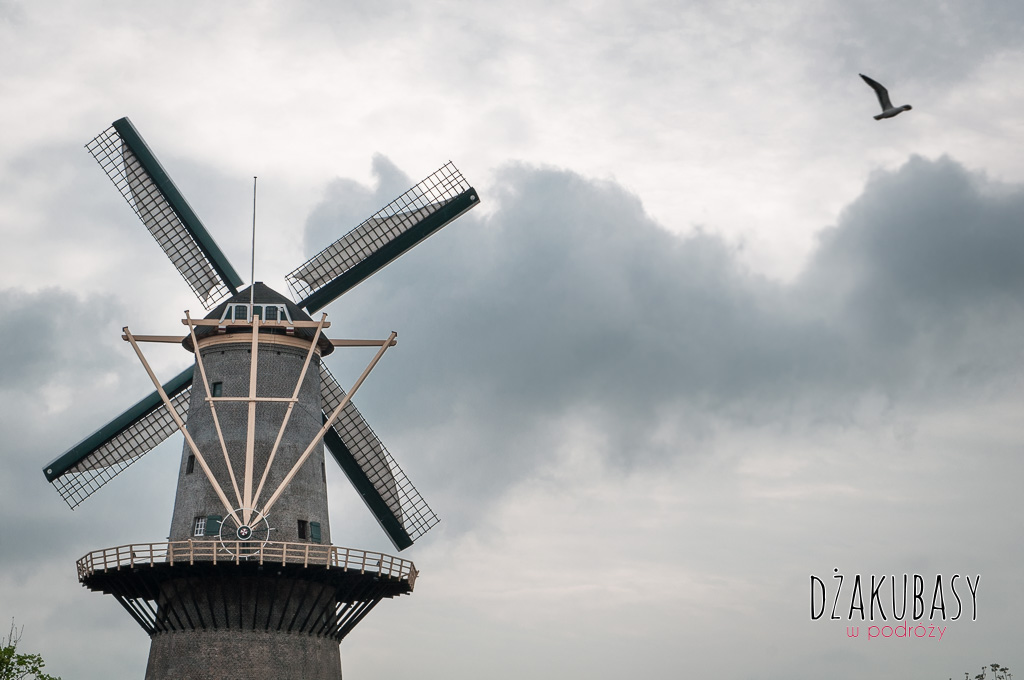 Holandia Najwyższe wiatraki świata w SHIEDAM 274.jpg