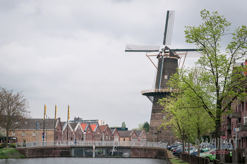Holandia Najwyższe wiatraki świata w SHIEDAM 281