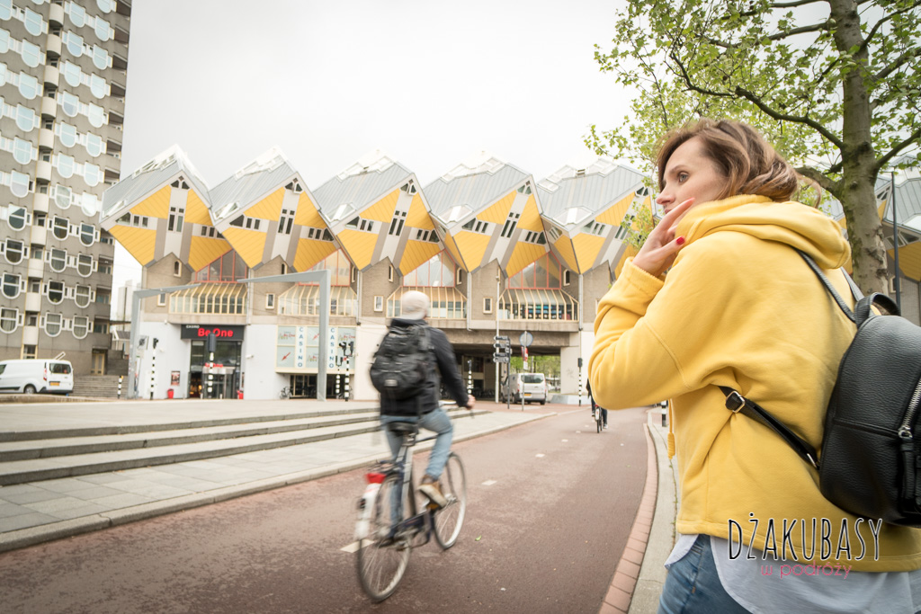 Holandia Rotterdam Blaakse Bos Szecienne domy mieszkalne SONY1 096