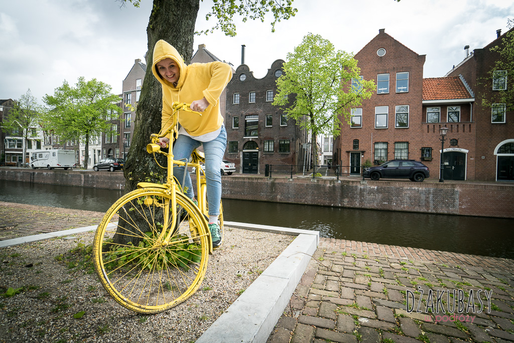 Holandia  Shiedam SONY1 019.jpg